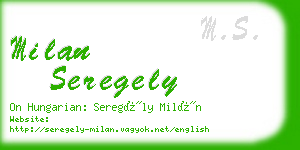 milan seregely business card